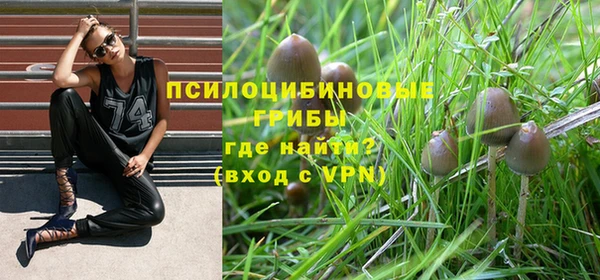 MESCALINE Заволжье